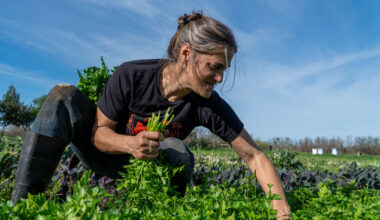 How Soil Born Farms reshaped Sacramento’s food ecosystem