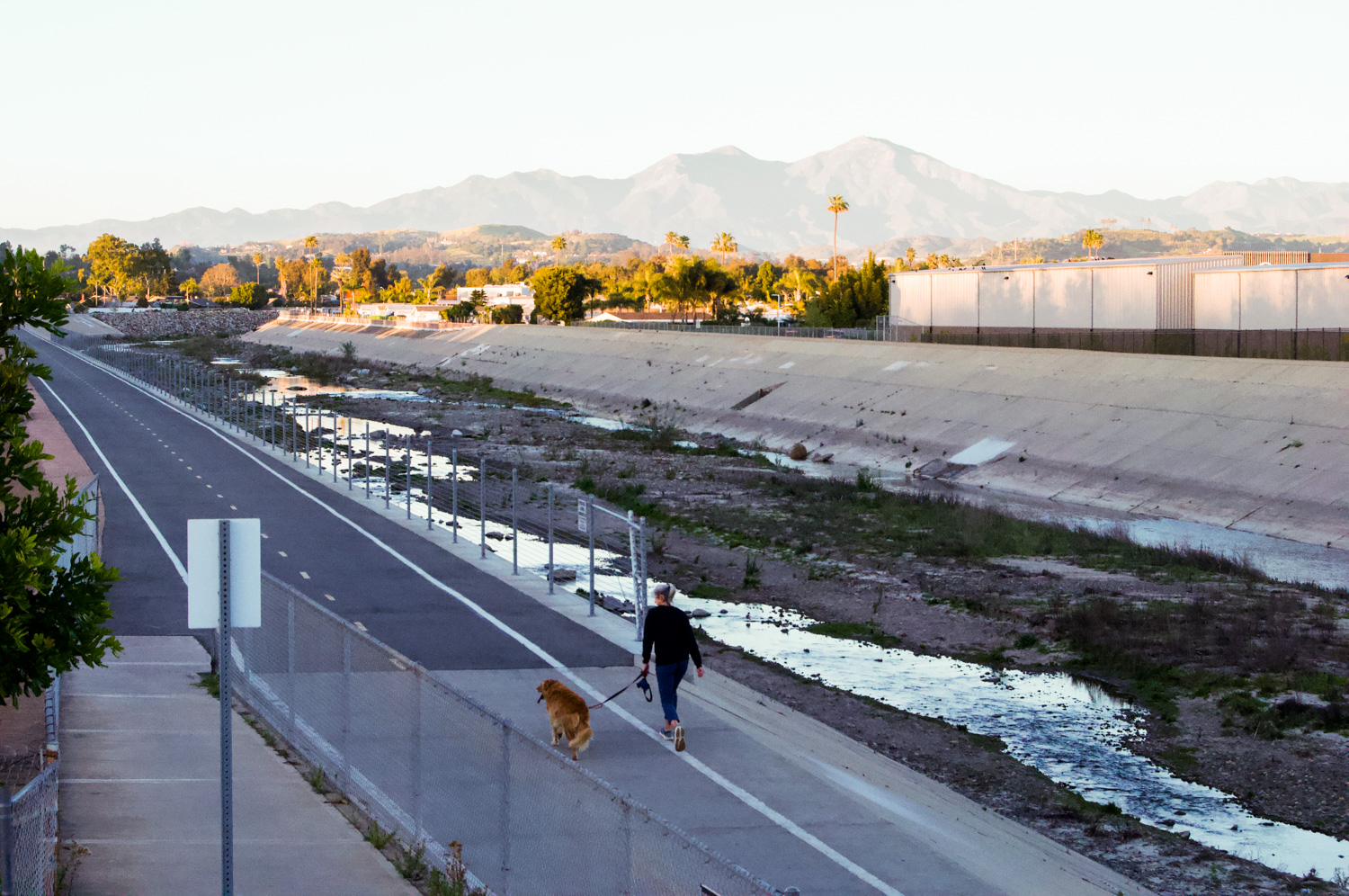 Orange County Halts Herbicide Spraying in Local Creeks