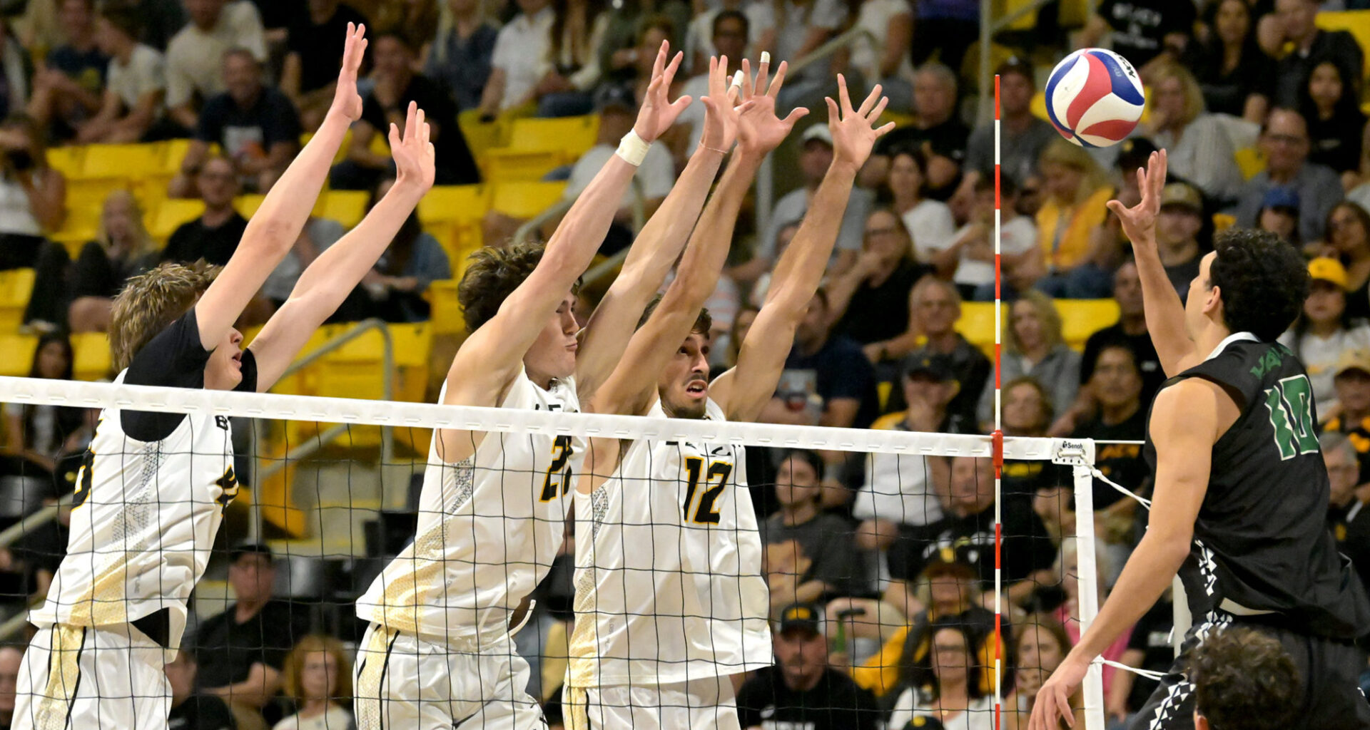 No. 2 Long Beach State Falls to No. 3 Hawai’i in Five to Open Big West Play – The562.org