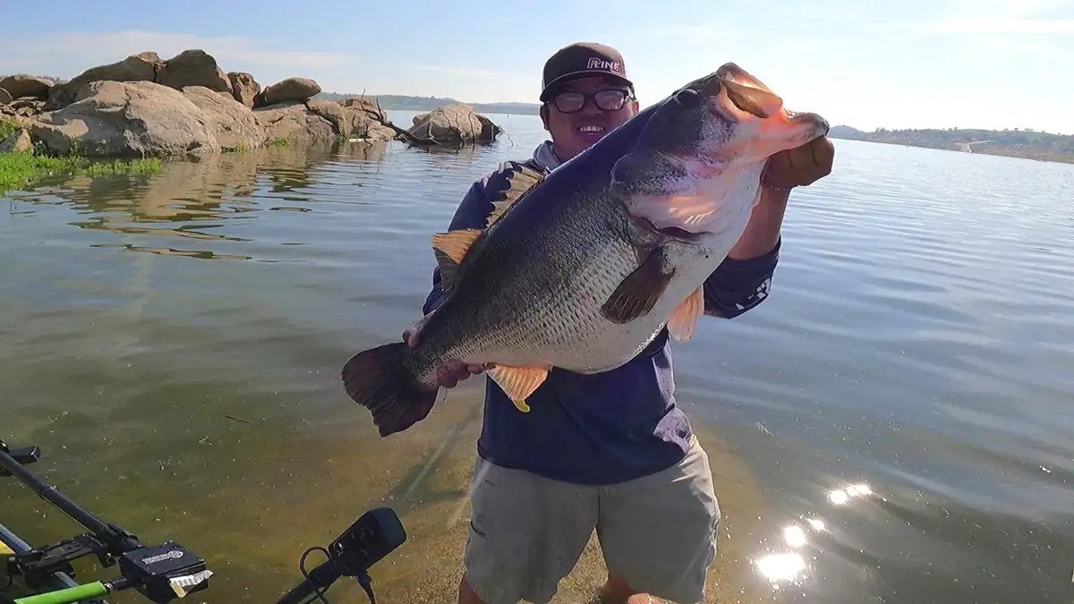 Damian Thao shows off the 25.75-inch, 14.73-pound bass he caught and then released on Feb. 28.