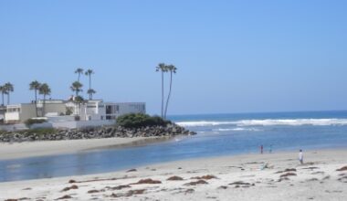 Bluff collapses in Del Mar, but no injuries reported