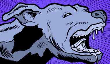A stylized, illustrated dog with bared teeth, open mouth, and drool, set against a purple background with radiating lines.