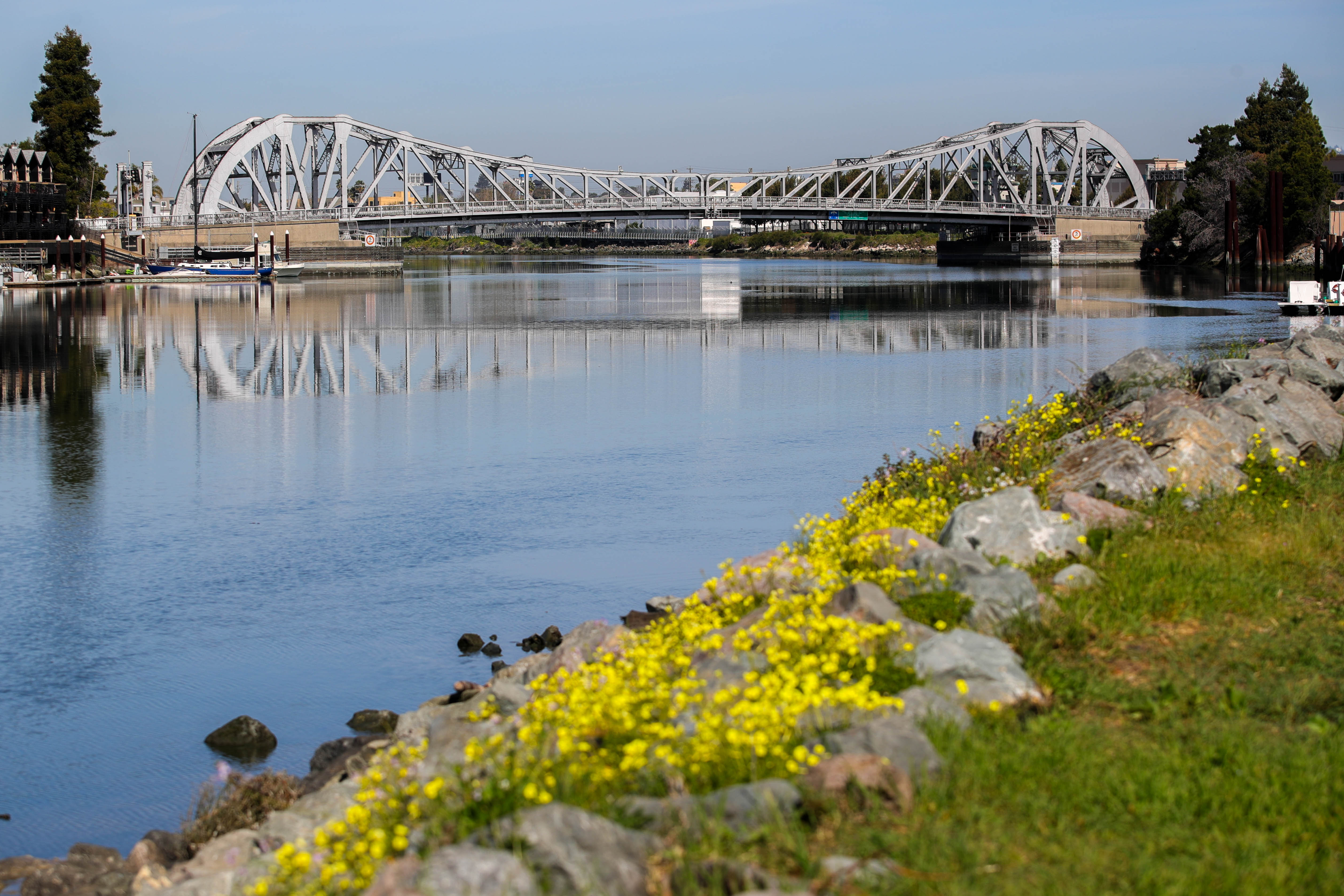 A view of the High Street bridge as wildflowers bloom...
