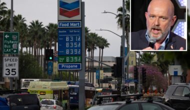 Steve Hilton issues impassioned plea to California's gas execs: 'Do not give up'
