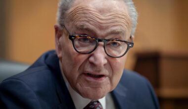 Some Democrats not on board with Schumer's plan to win back Senate