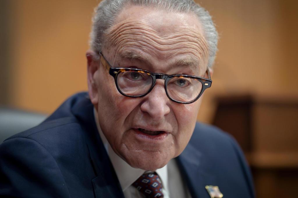 Some Democrats not on board with Schumer's plan to win back Senate