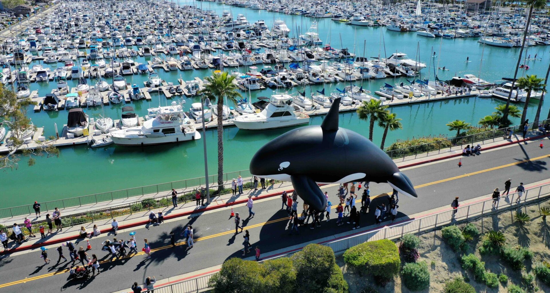 Top Things to Do in O.C.: March 4th through 10th