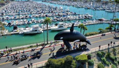 Top Things to Do in O.C.: March 4th through 10th