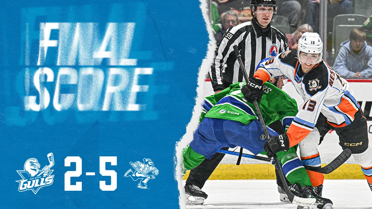 Gulls’ Late Efforts Can’t Beat Canucks