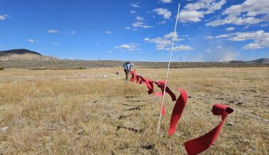 Ribbon hung on barbed wired to scare wolves away.