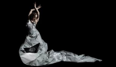 Flamenco Arts International to Debut SONGS FROM A SINKING SHIP at Presidio Theatre