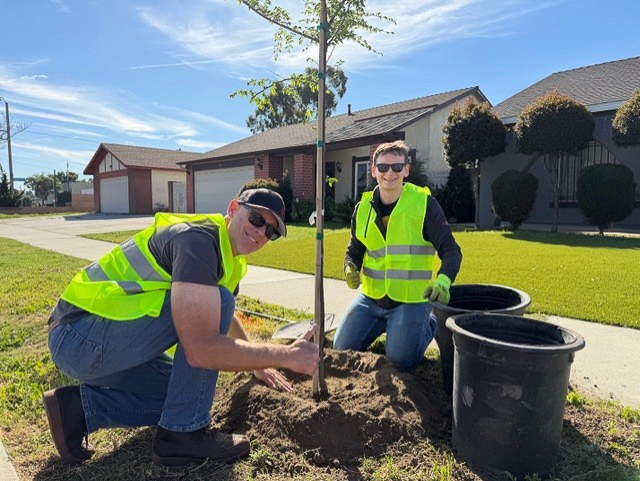 Employees from Long Beach Container Terminal planted 31 trees in...