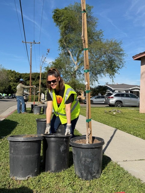 Employees from Long Beach Container Terminal planted 31 trees in...