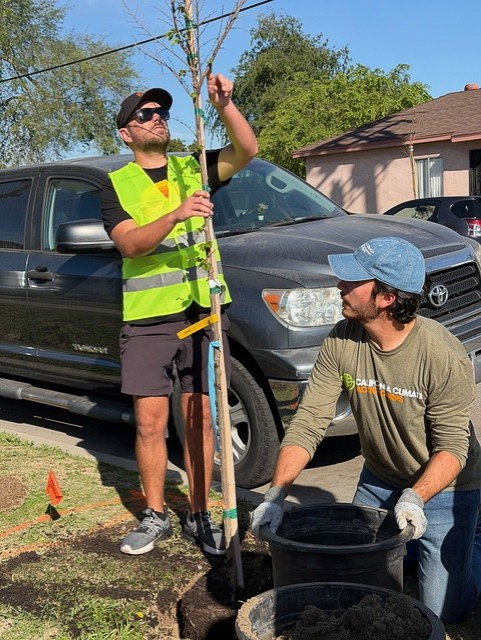 Employees from Long Beach Container Terminal planted 31 trees in...