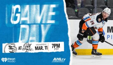 Gulls Head North for Barracuda Battle