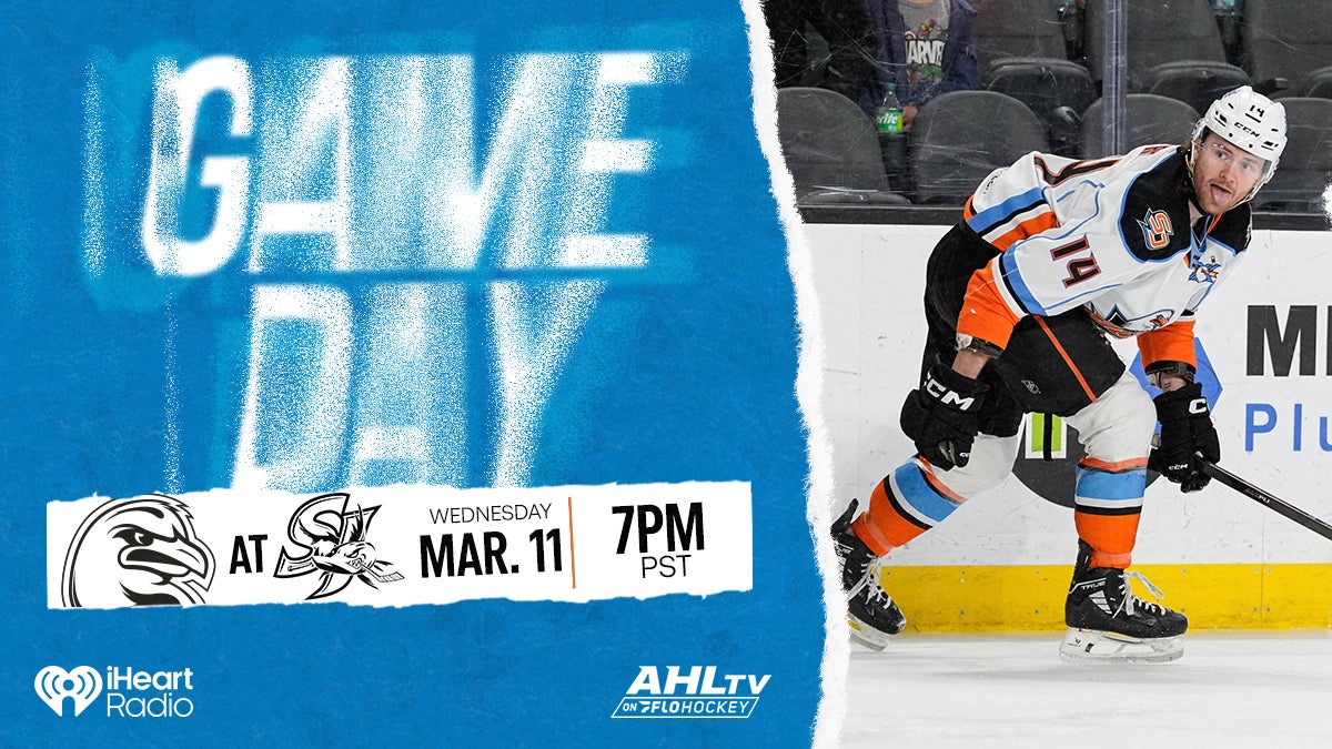 Gulls Head North for Barracuda Battle