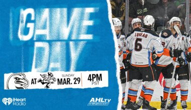 Gulls Looking for Pivotal Points vs. Canucks