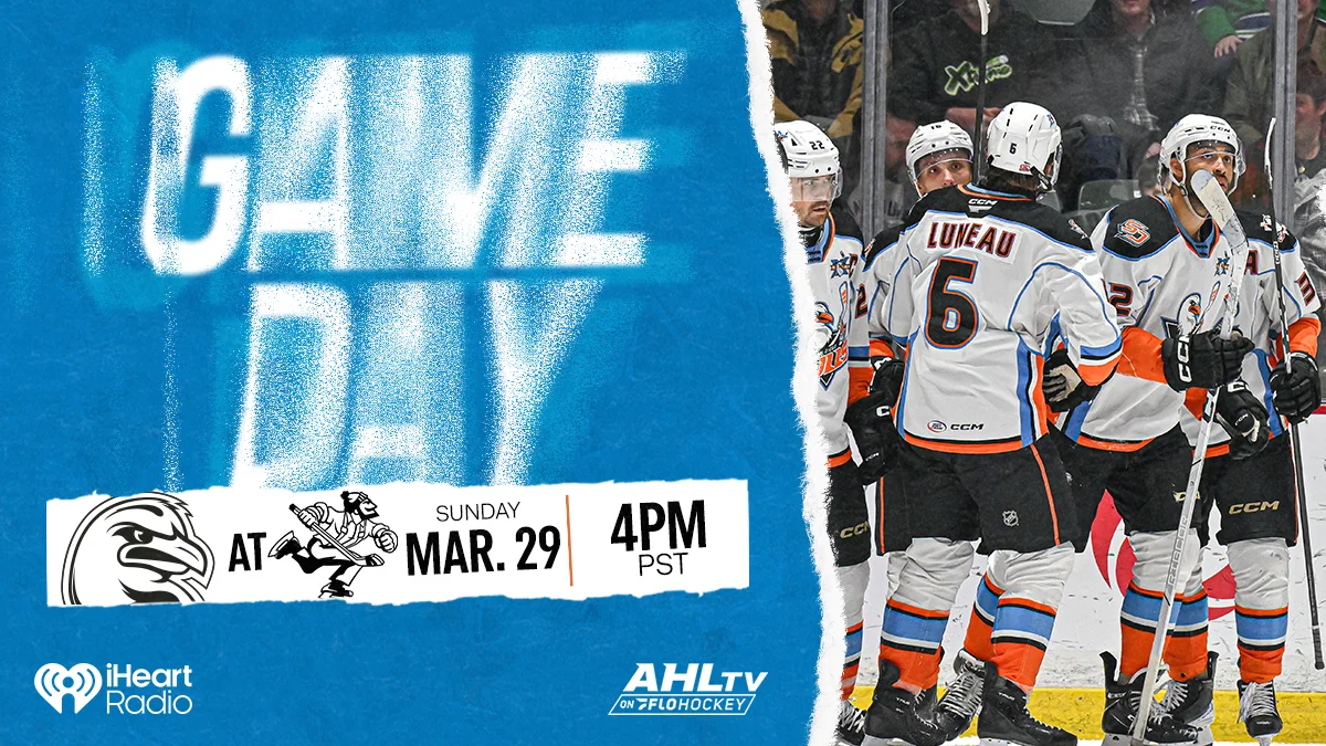 Gulls Looking for Pivotal Points vs. Canucks