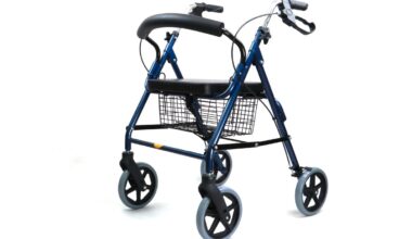 DOJ sues SeaWorld’s parent company over ban on wheeled walkers at their parks – NBC 7 San Diego