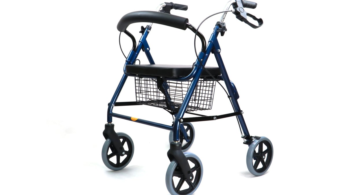 DOJ sues SeaWorld’s parent company over ban on wheeled walkers at their parks – NBC 7 San Diego