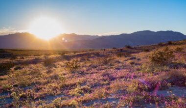 These San Diego County landmarks make ballot for ‘Best of California’s State Parks’ – NBC 7 San Diego