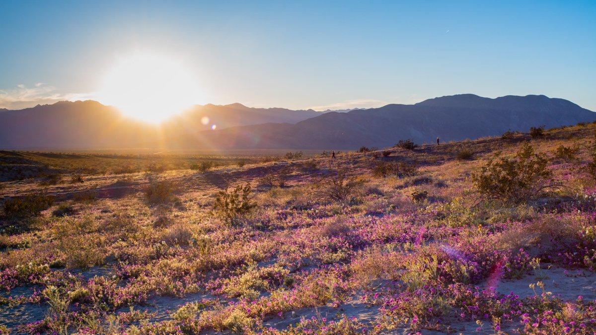 These San Diego County landmarks make ballot for ‘Best of California’s State Parks’ – NBC 7 San Diego