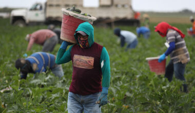 What’s open, what’s closed in San Diego for Farm Workers Day, previously Cesar Chavez Day – NBC 7 San Diego