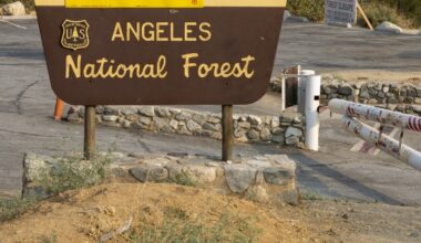 Bridge to Nowhere Trail hiker dies after falling into water – NBC Los Angeles