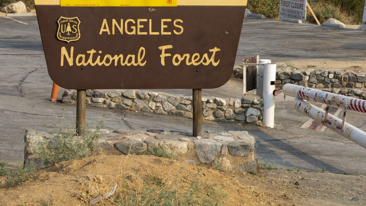 Bridge to Nowhere Trail hiker dies after falling into water – NBC Los Angeles