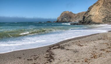 Severed leg discovered on US beach identified as remains of long-missing banker
