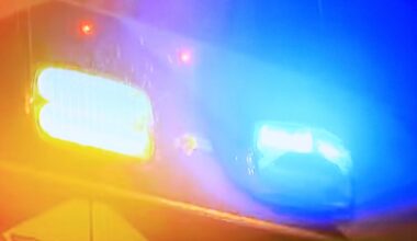 Woman walking dog hurt after bear encounter in Monrovia – NBC Los Angeles