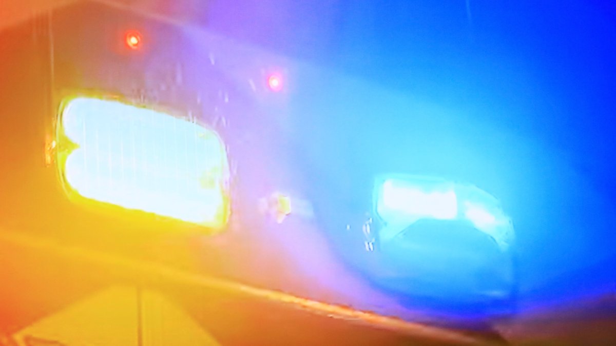 Woman walking dog hurt after bear encounter in Monrovia – NBC Los Angeles