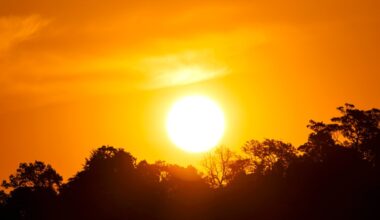 Heat wave in San Diego County could bring record highs this week – NBC 7 San Diego