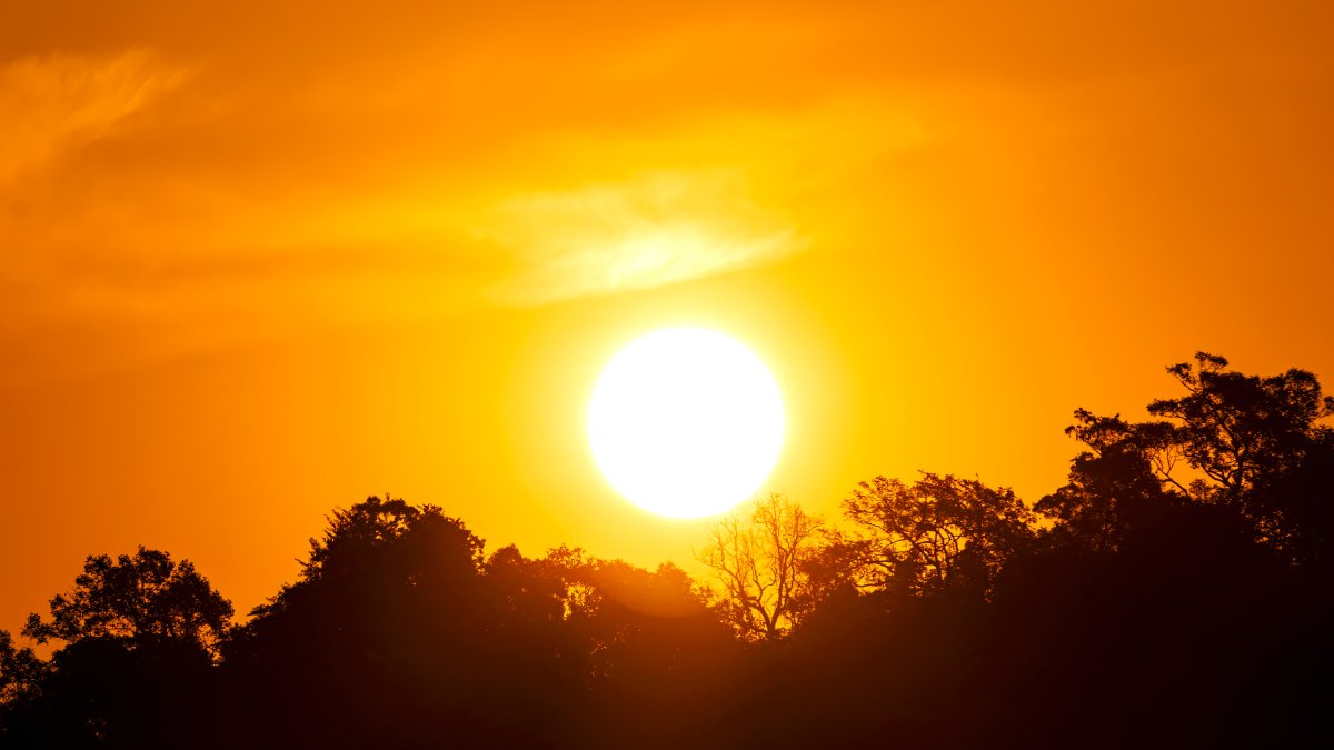 Heat wave in San Diego County could bring record highs this week – NBC 7 San Diego