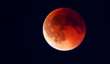 Moon over Griffith Observatory’s free Total Lunar Eclipse Broadcast – NBC Los Angeles