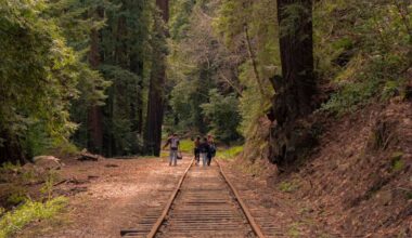 California Is Transforming An Abandoned Railroad Into A 300-Mile Trail From SF To Humboldt — Passing Through Wine Country, Mountains, & Ancient Redwood Forests