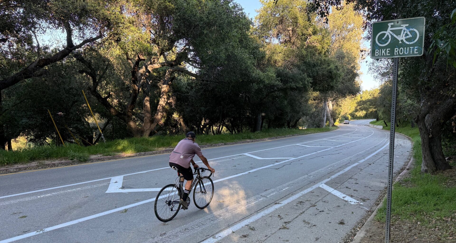 Bike Updates: Griffith Park, Chandler, Terra Bella, and Westside Plans