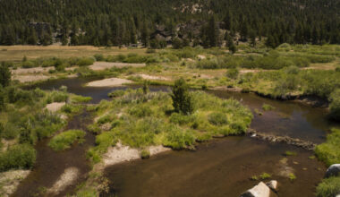 Hope Valley Meadow, California