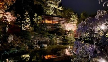 Less Than 1 Hour From SF, One Of The Oldest Japanese Gardens In The Western Hemisphere Lights Up Its 45 Cherry Trees For Magical Nighttime Viewing