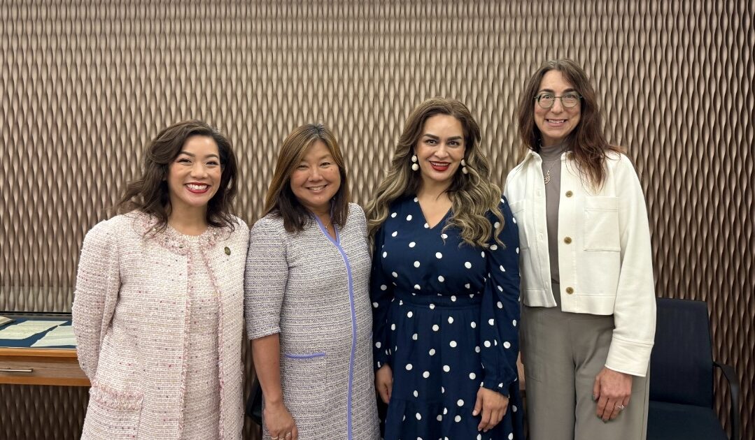 Santa Clara County supermom supervisors pave the way