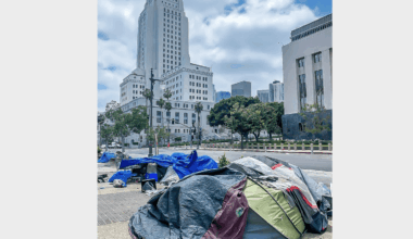 Los Angeles City Hall looms over a nearby homeless encampment.