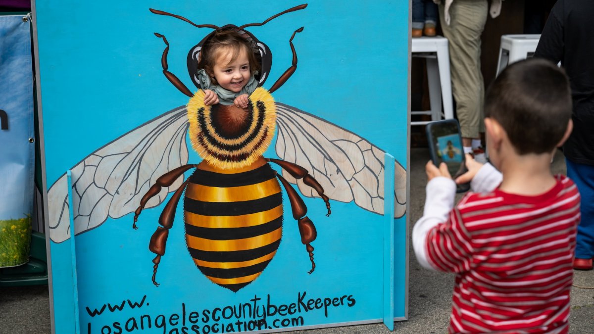 A new multi-weekend LA Zoo celebration is ready to ‘Bloom’ with spring joy – NBC Los Angeles