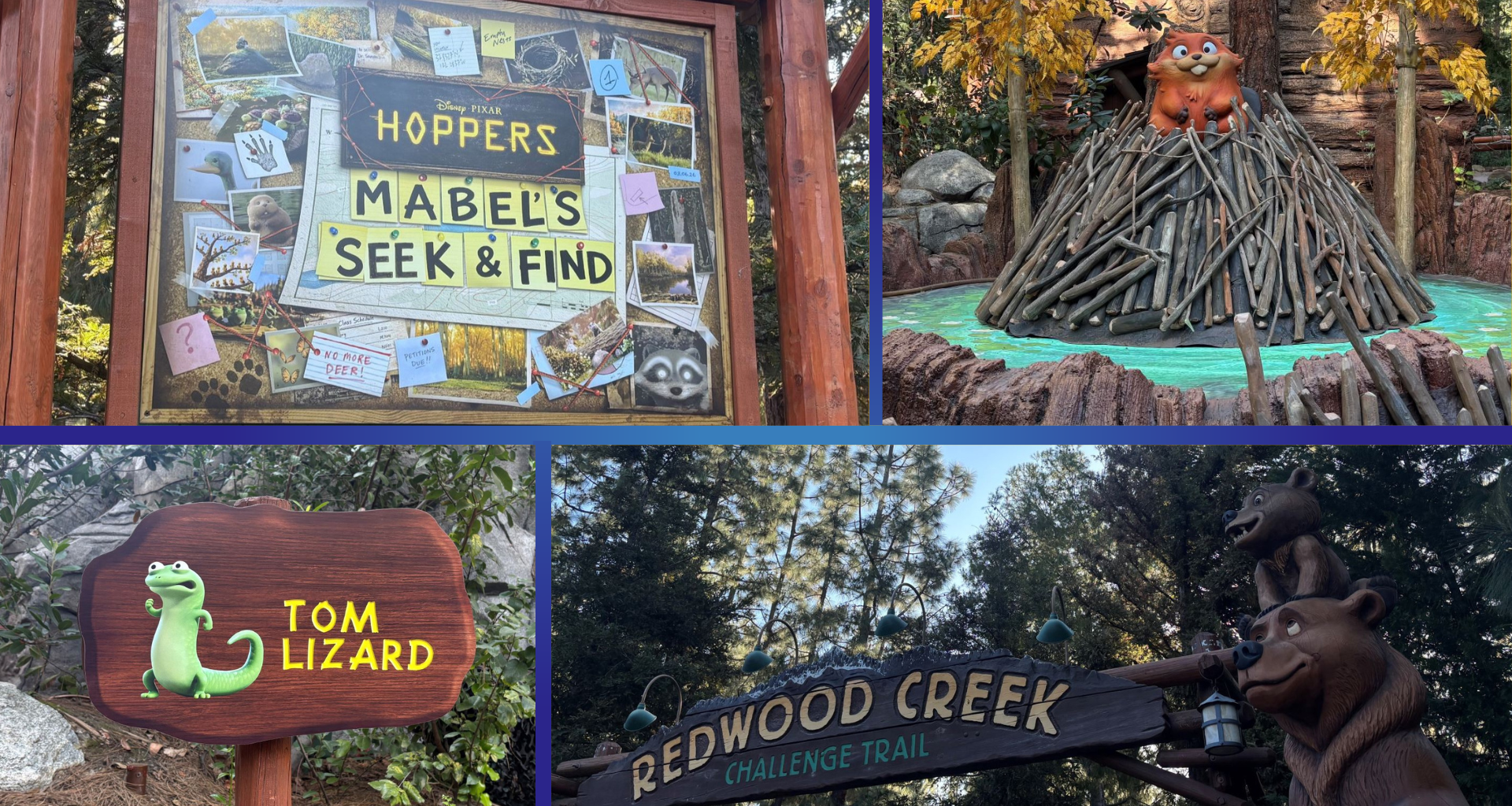 Hoppers at Redwood Creek Challenge Trail