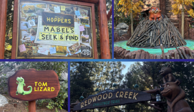 Hoppers at Redwood Creek Challenge Trail