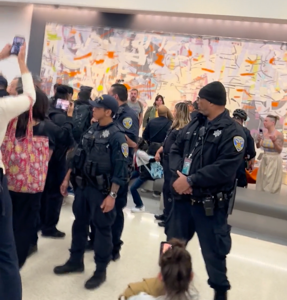 SFPD officers surrounded ICE agents as they struggled with a woman who was being escorted to a deportation flight inside San Francisco International Airport on March 22