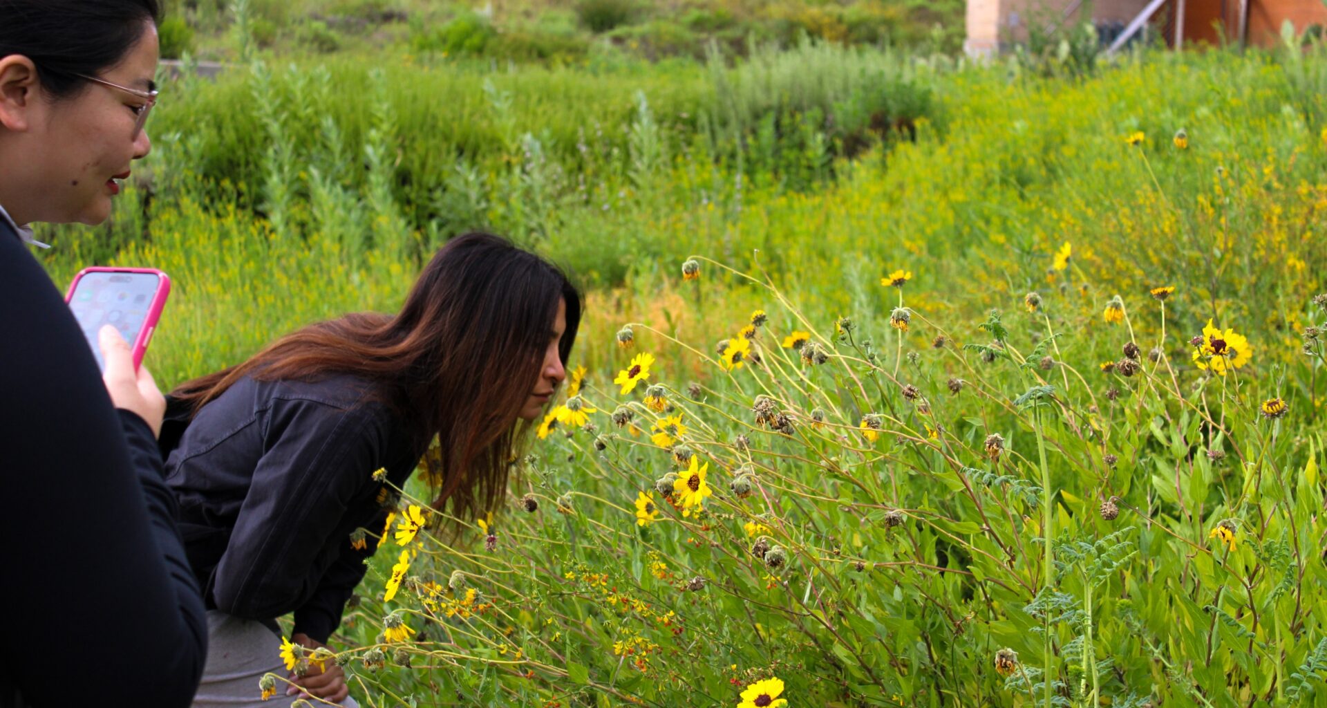 Movie Screenings and Educational Events