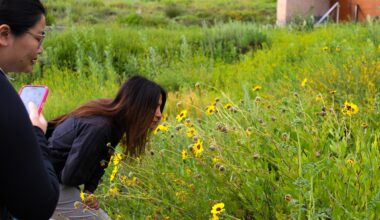 Movie Screenings and Educational Events