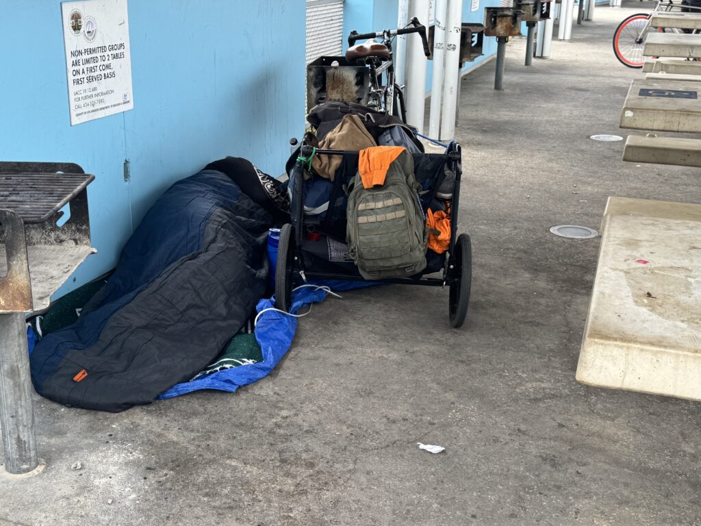 City Committee Fine with Homeless Status Quo