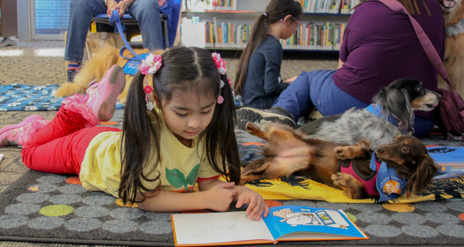 Therapy Dogs Boost Literacy Skills For OC Students