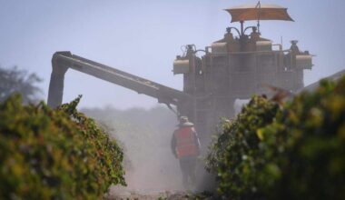 California farmers report labor impacts from enforcement